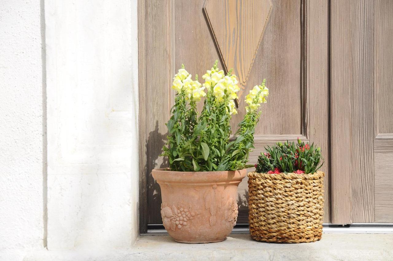 Holliday Charming Home Trydent Zewnętrze zdjęcie
